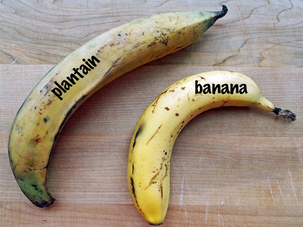 فرق پلانتین با موز plantin or banana